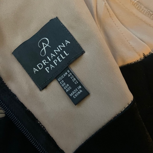 Adrianna Papell Lace Bodice Shutter Dress - Picture 6 of 16